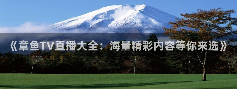 乐球直播入口：《章鱼TV直播大全：海量精彩内容等你来选》