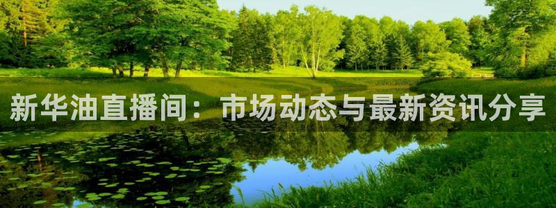 乐球直播网页版入口：新华油直播间：市场动态与最新资讯分享