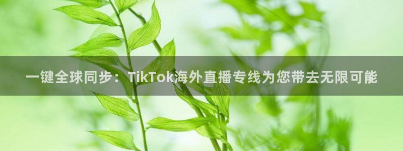 乐球体育足球直播：一键全球同步：TikTok海外直播专线为您带去无限可能