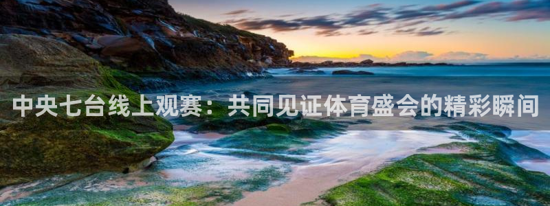 乐球直播高清版：中央七台线上观赛：共同见证体育盛会的精彩瞬间