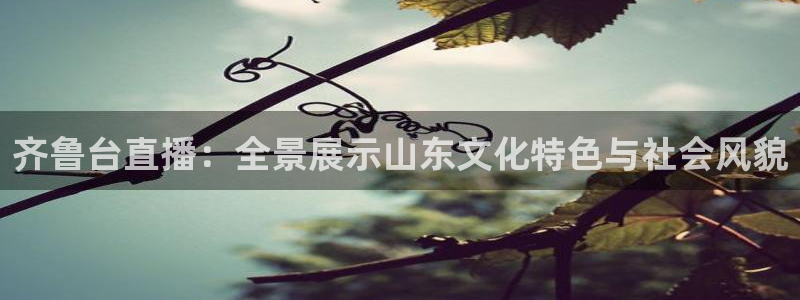乐球直播下载：齐鲁台直播：全景展示山东文化特色与社会风貌