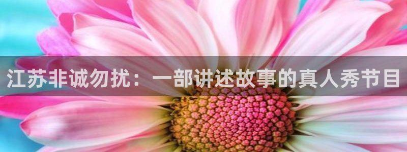 乐球直播免费观看无插件下载：江苏非诚勿扰：一部讲述故事的真人秀节目