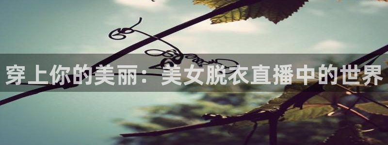 nba乐球直播小鱼姐：穿上你的美丽：美女脱衣直播中的世界