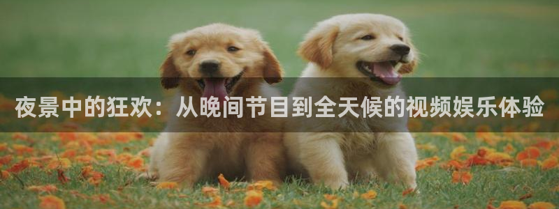 乐球直播在线直播：夜景中的狂欢：从晚间节目到全天候的视频娱乐体验