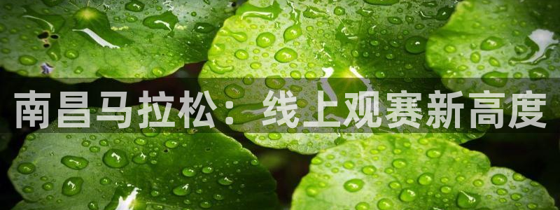 乐球足球比赛在线直播：南昌马拉松：线上观赛新高度