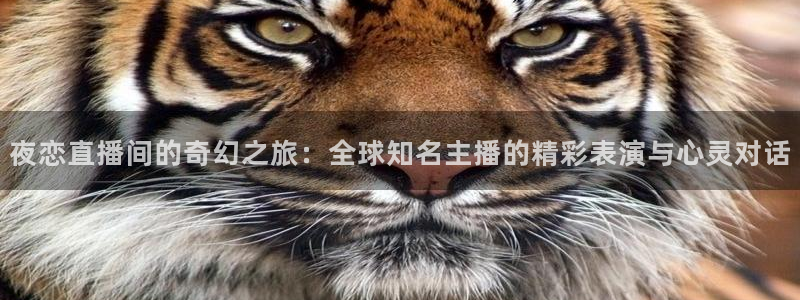 乐球吧jrs直播吧下载：夜恋直播间的奇幻之旅：全球知名主播的精彩表演与心灵对话