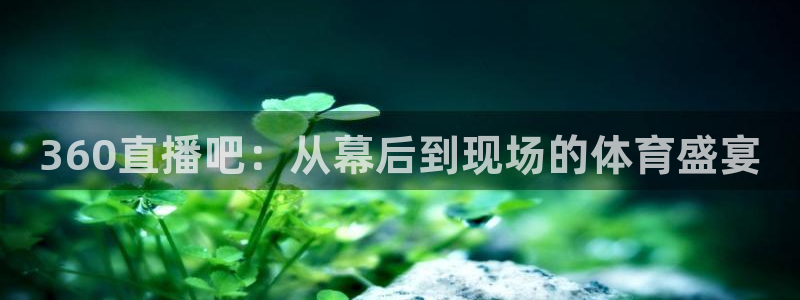 nba直播吧乐球：360直播吧：从幕后到现场的体育盛宴