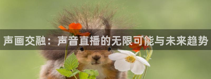 乐球直播团团：声画交融：声音直播的无限可能与未来趋势