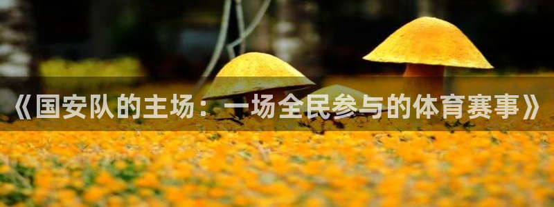 乐球直播免费体育直播在线观看：《国安队的主场：一场全民参与的体育赛事》