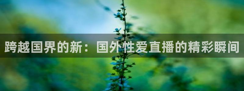 乐球直播安卓版下载：跨越国界的新：国外性爱直播的精彩瞬间