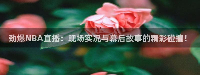 乐球直播nba高清直播：劲爆NBA直播：现场实况与幕后故事的精彩碰撞！