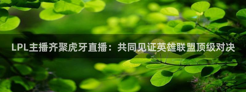 乐球直播篮球直播：LPL主播齐聚虎牙直播：共同见证英雄联盟顶级对决