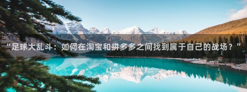 乐球直播在线看：“足球大乱斗：如何在淘宝和拼多多之间找到属于自己的战场？”